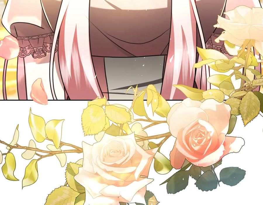 第246页