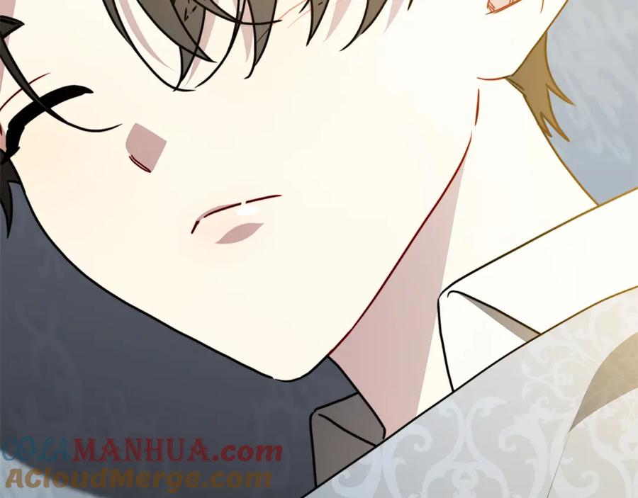 第213页