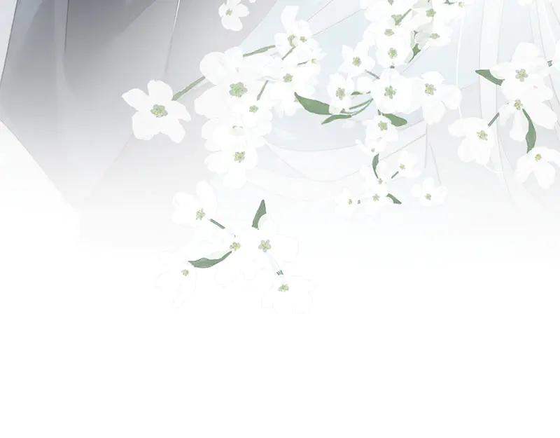 第223页
