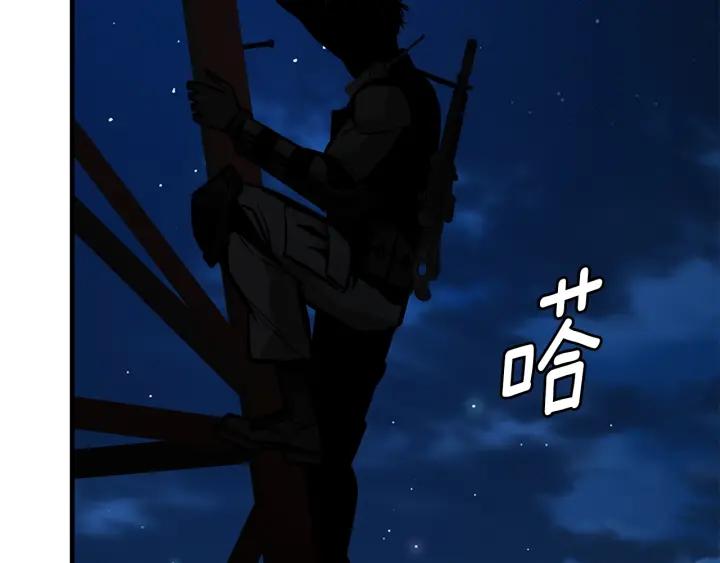 第204页