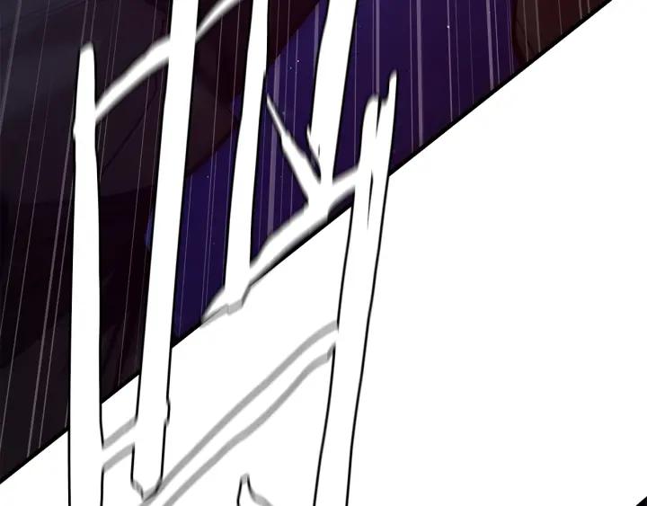 第254页