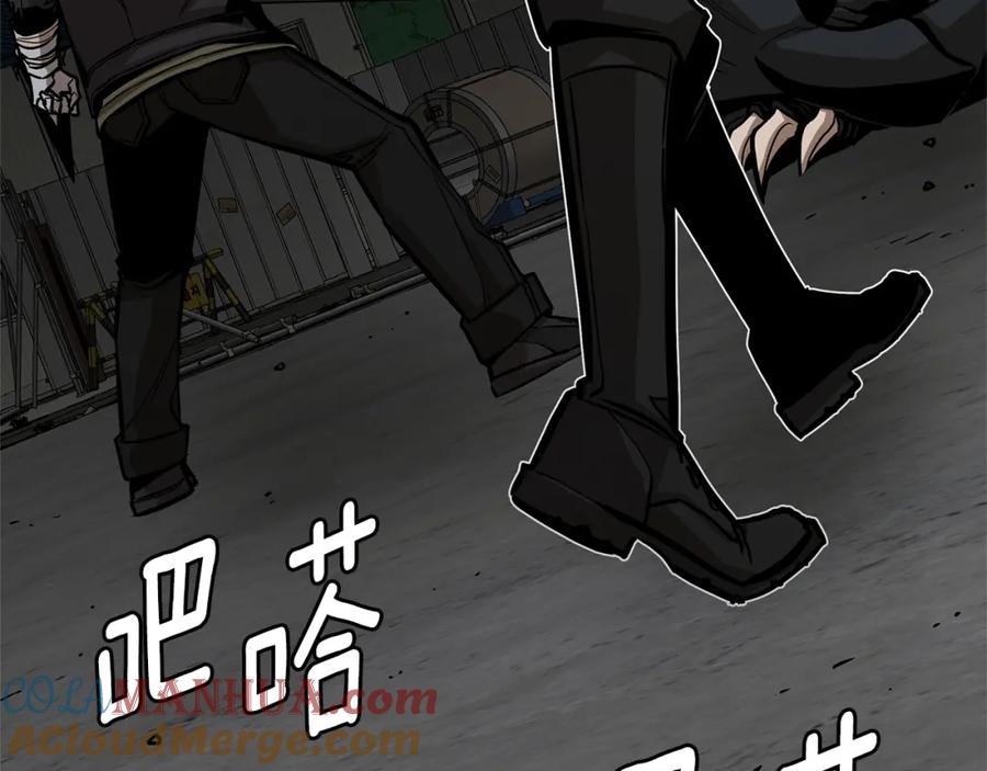 第213页