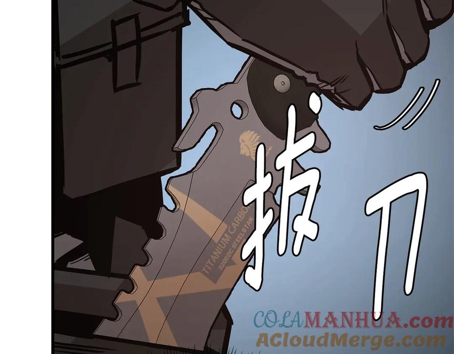 第213页