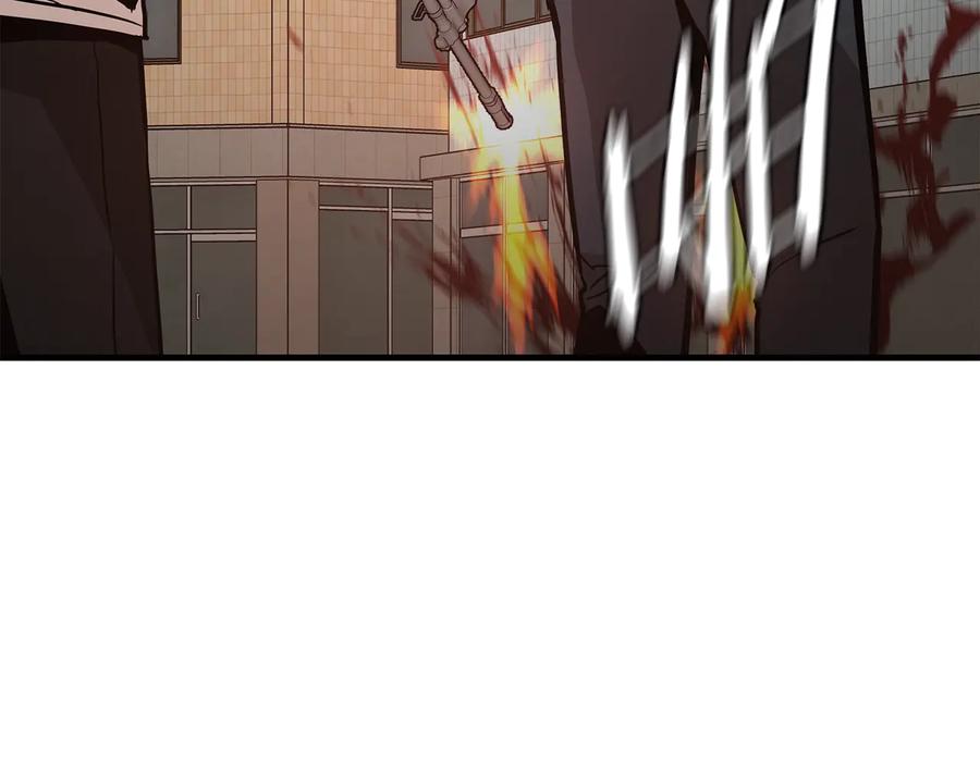 第224页
