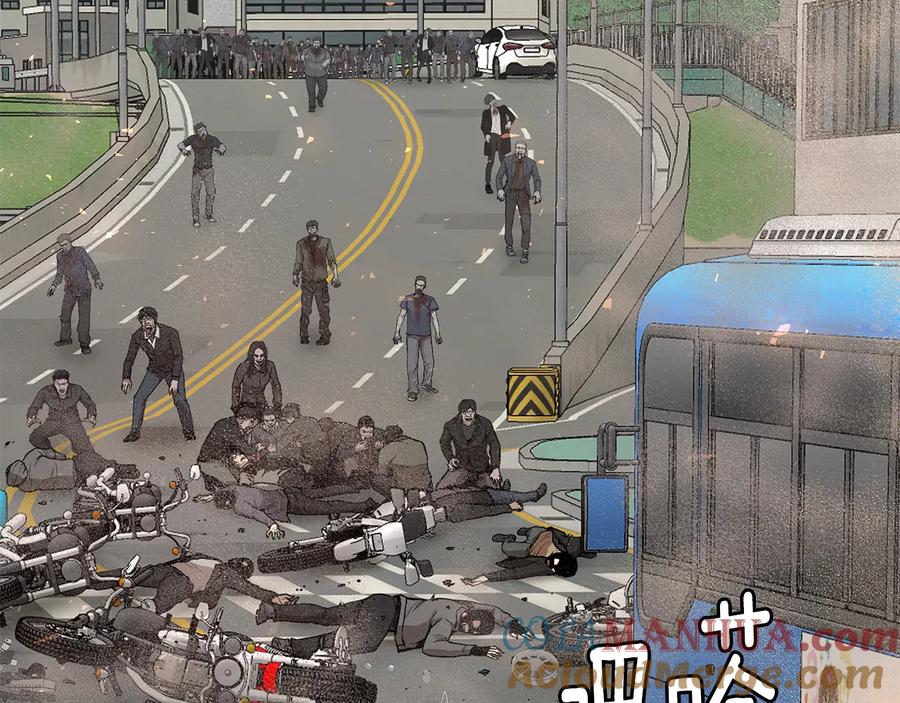 第233页