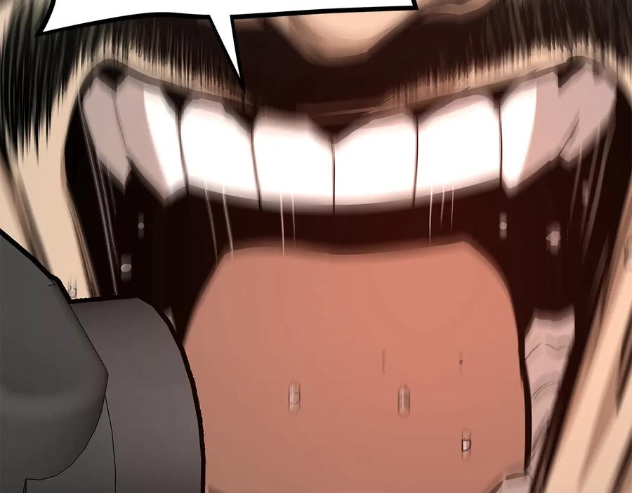 第247页