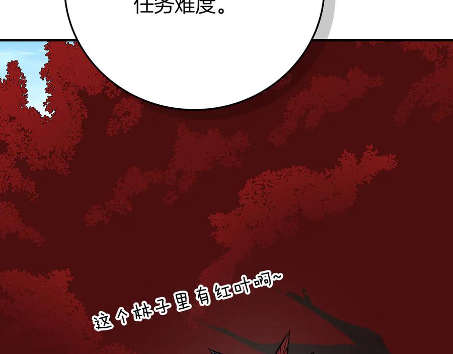 第255页
