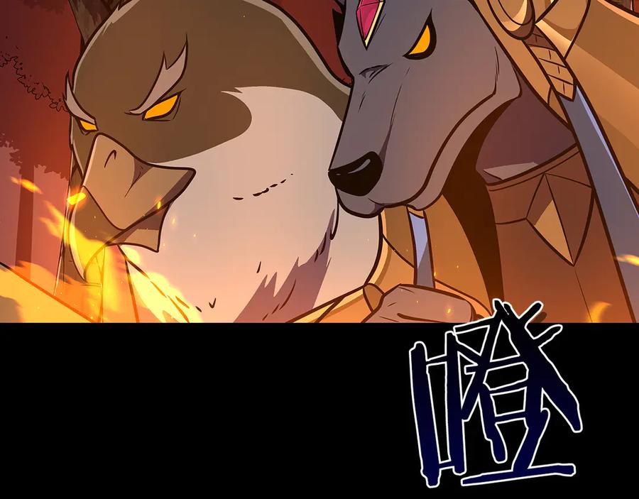 第215页