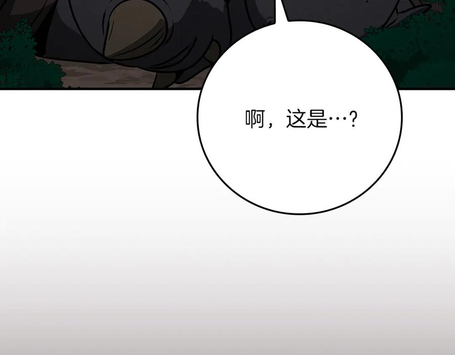 第244页
