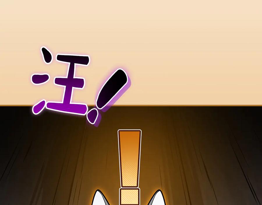 第224页