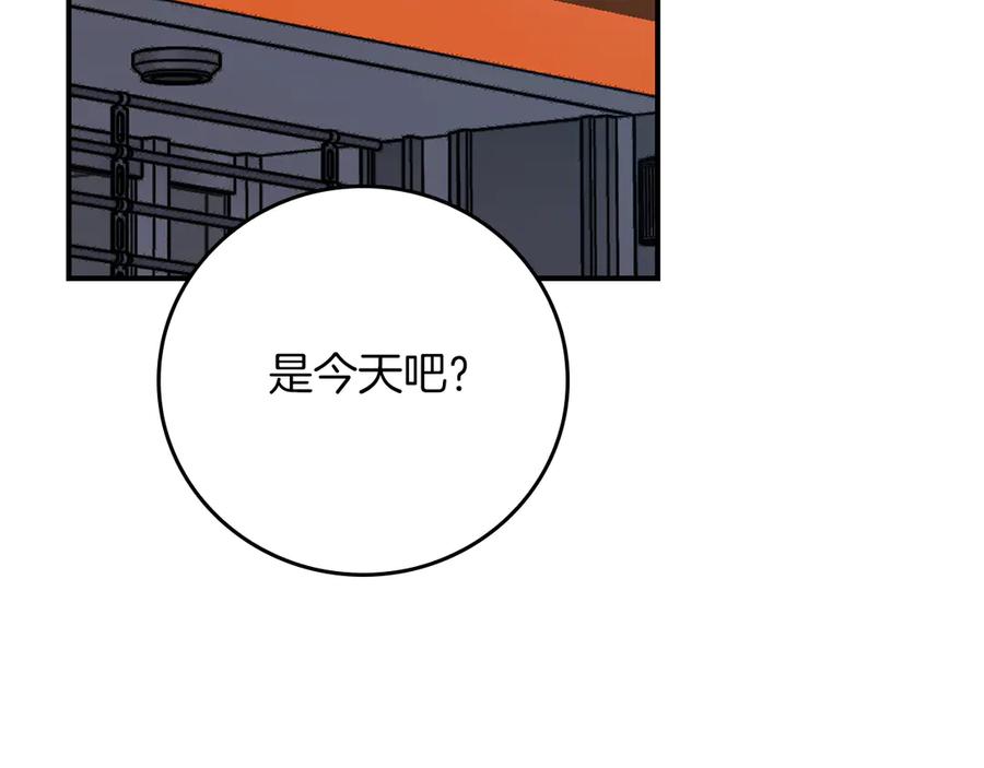 第232页
