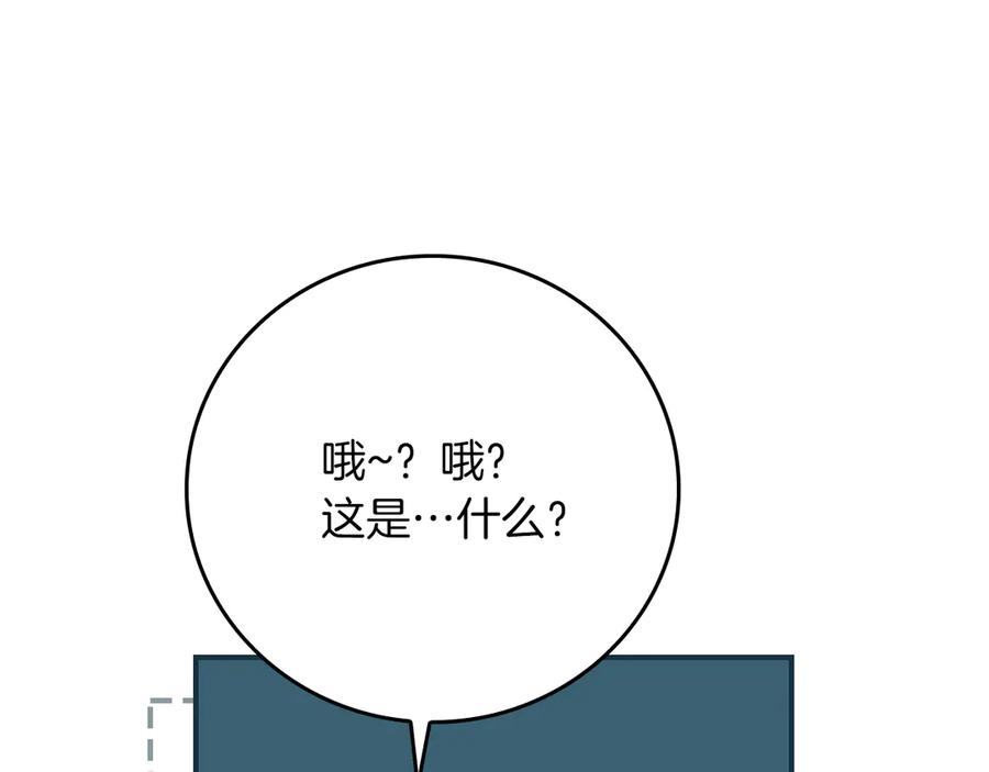 第300页