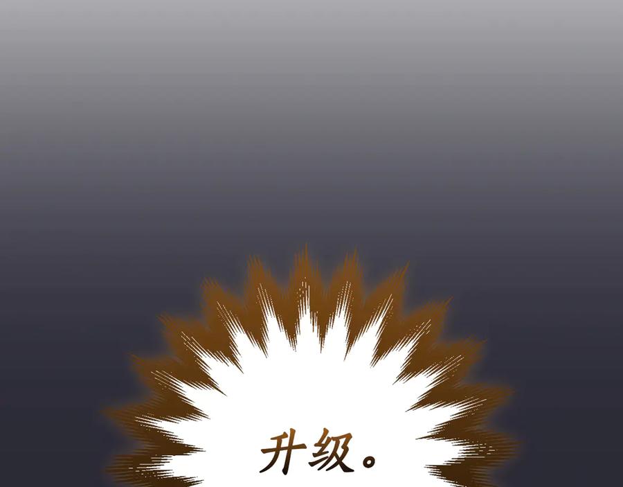 第291页