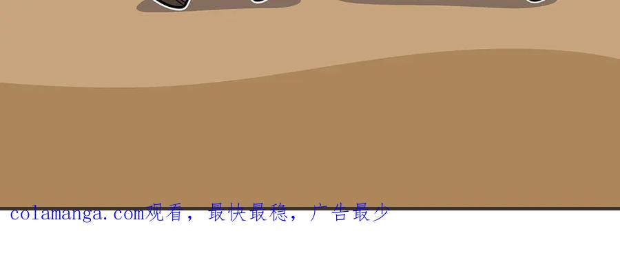 第262页