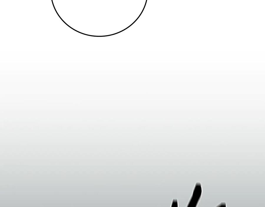 第239页