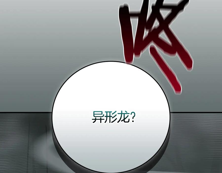 第240页