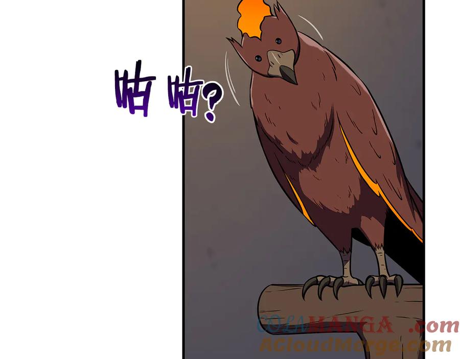 第217页