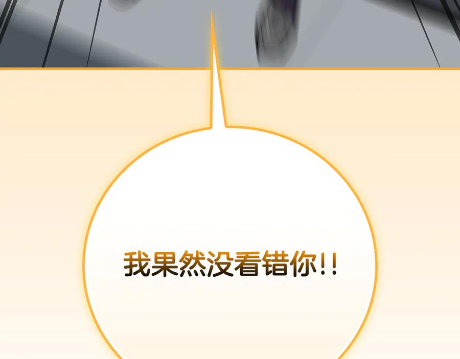 第242页