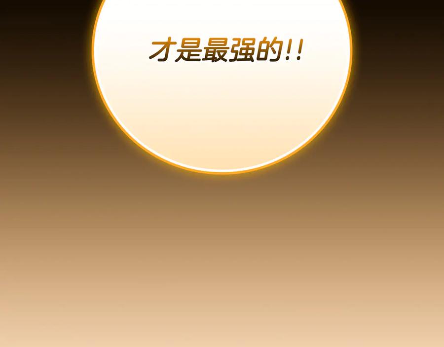 第291页