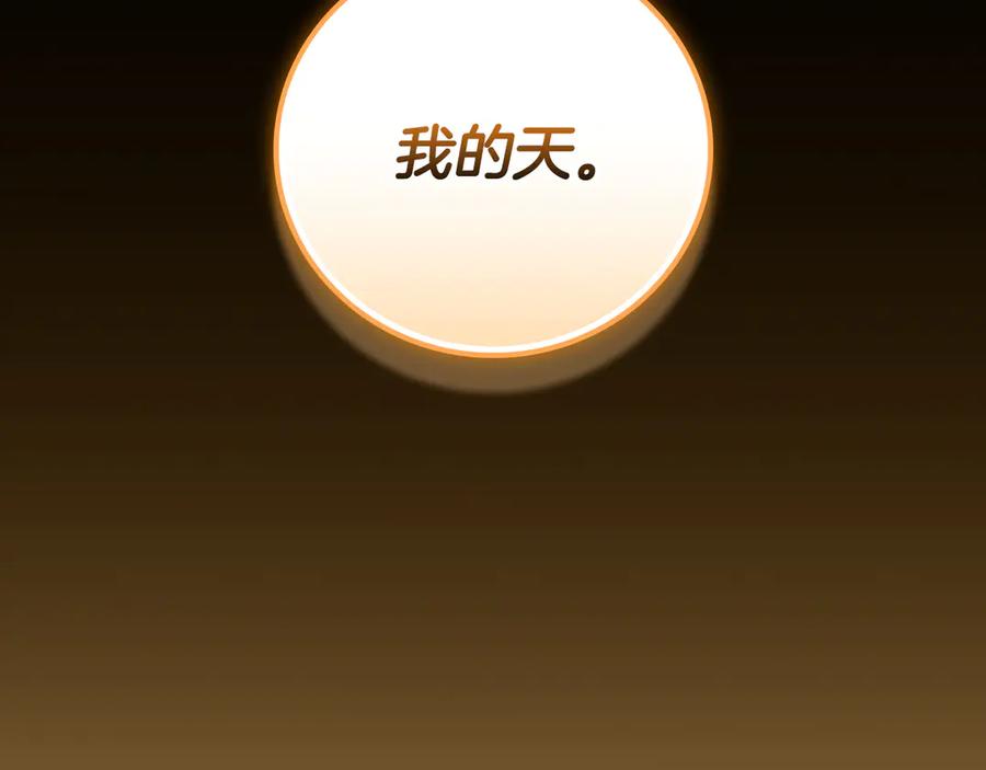 第236页