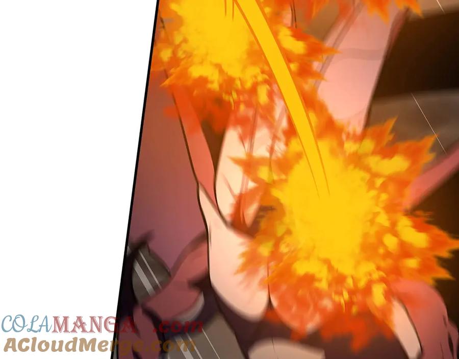 第205页