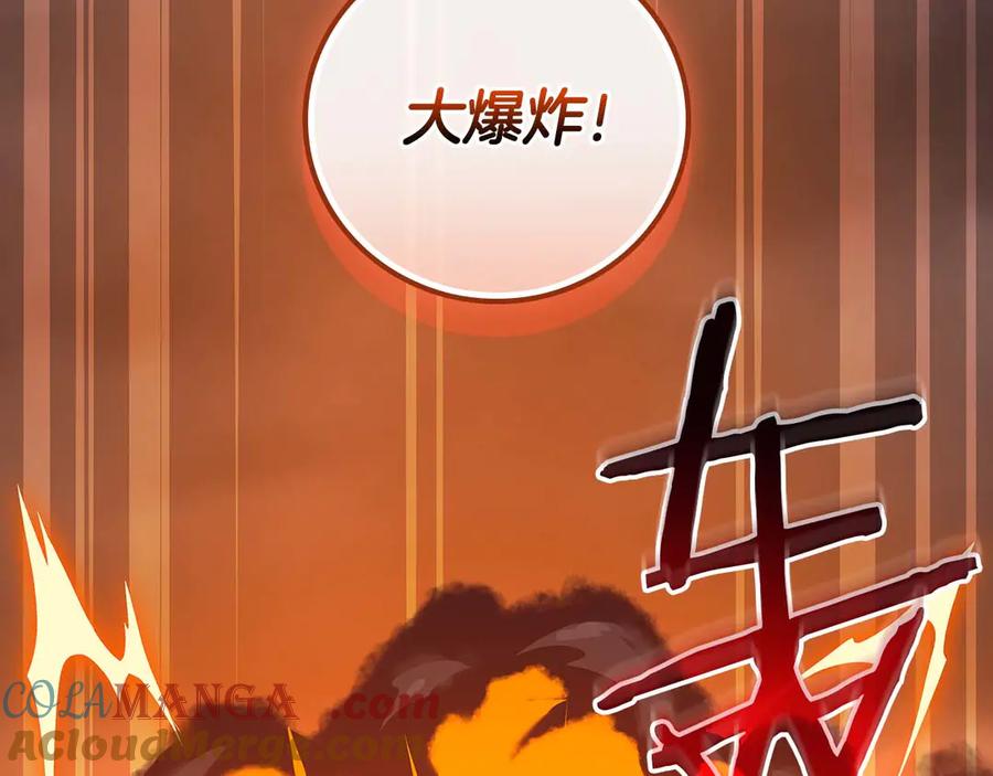 第233页