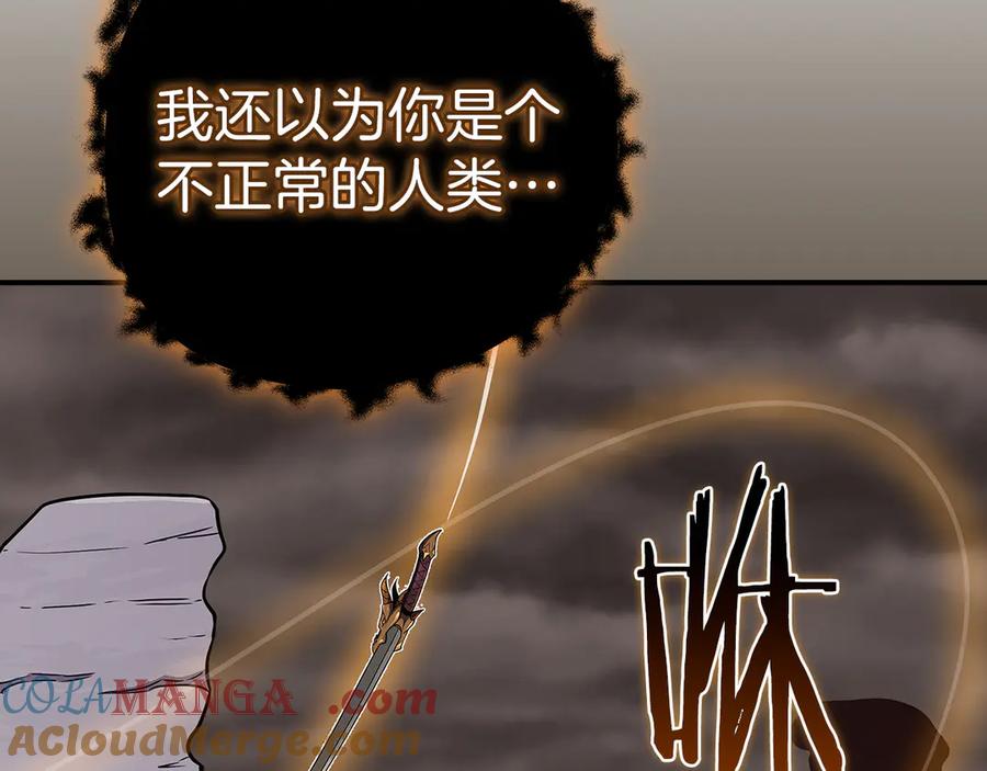 第229页