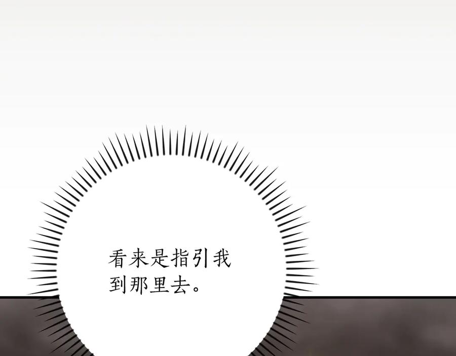 第239页