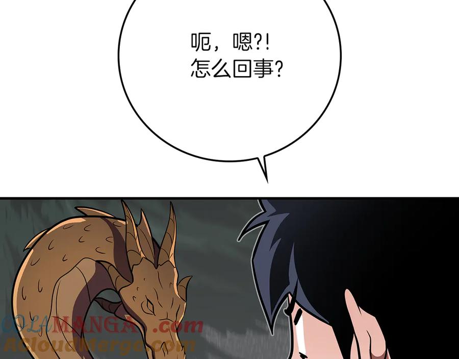 第205页