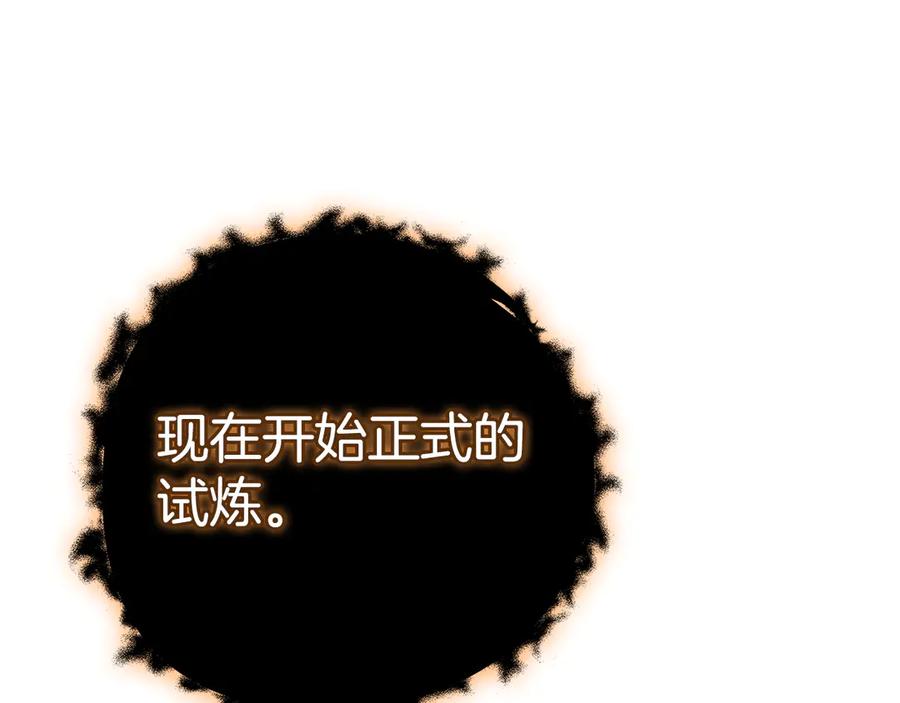 第215页