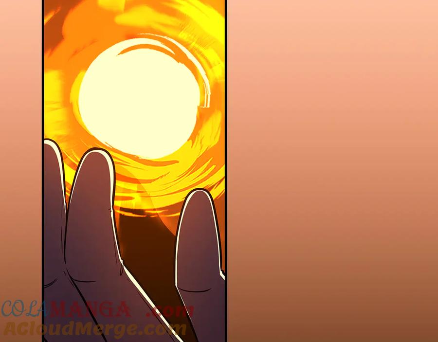 第229页