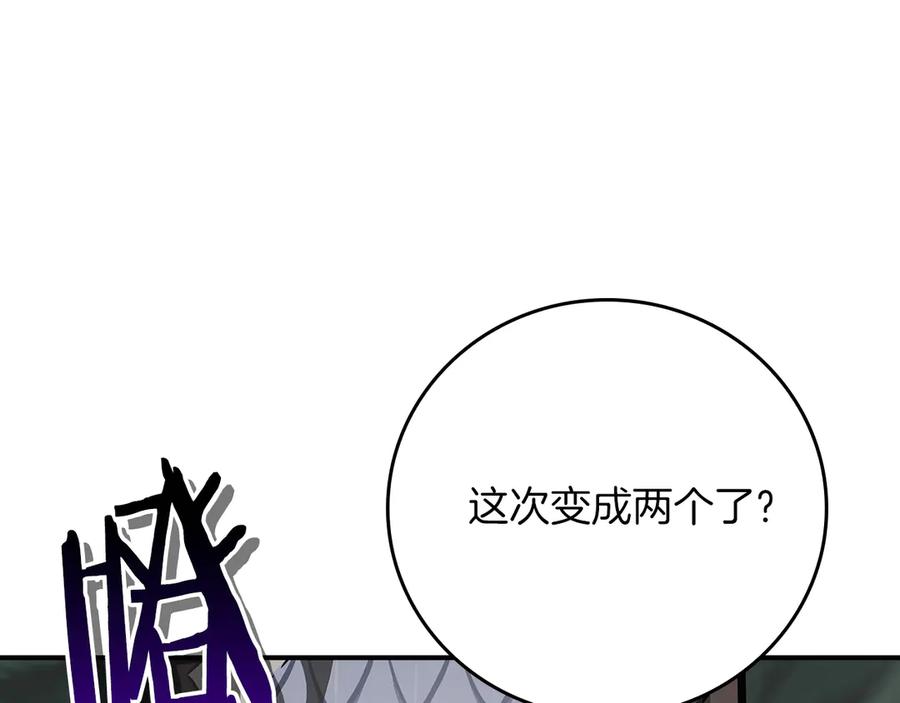 第246页
