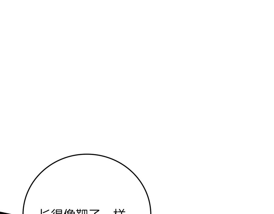 第251页