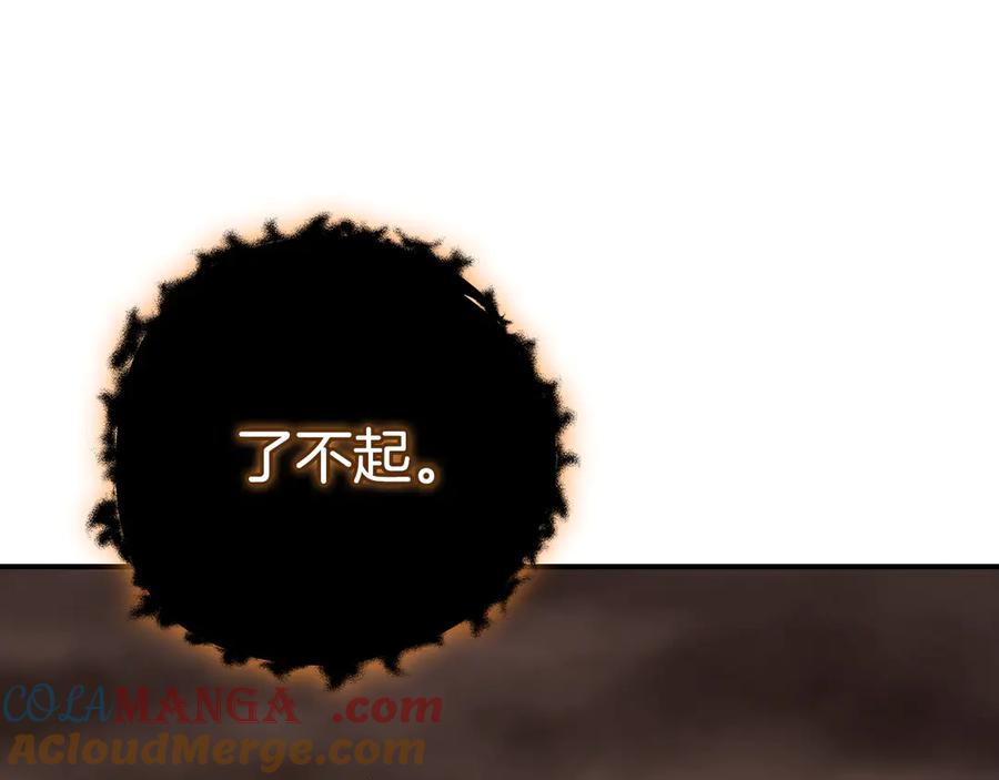 第217页