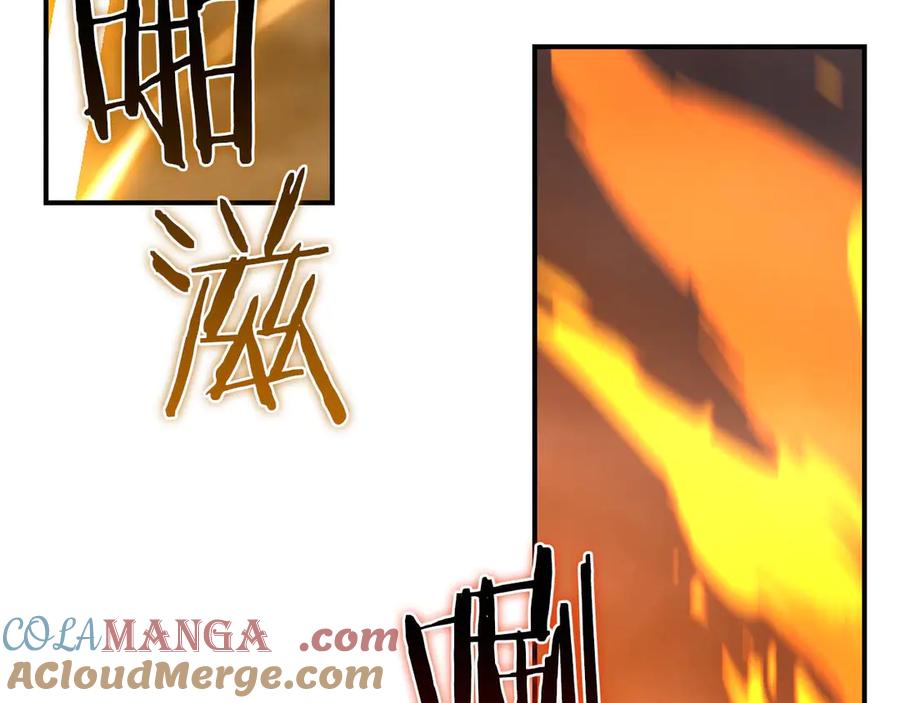 第205页