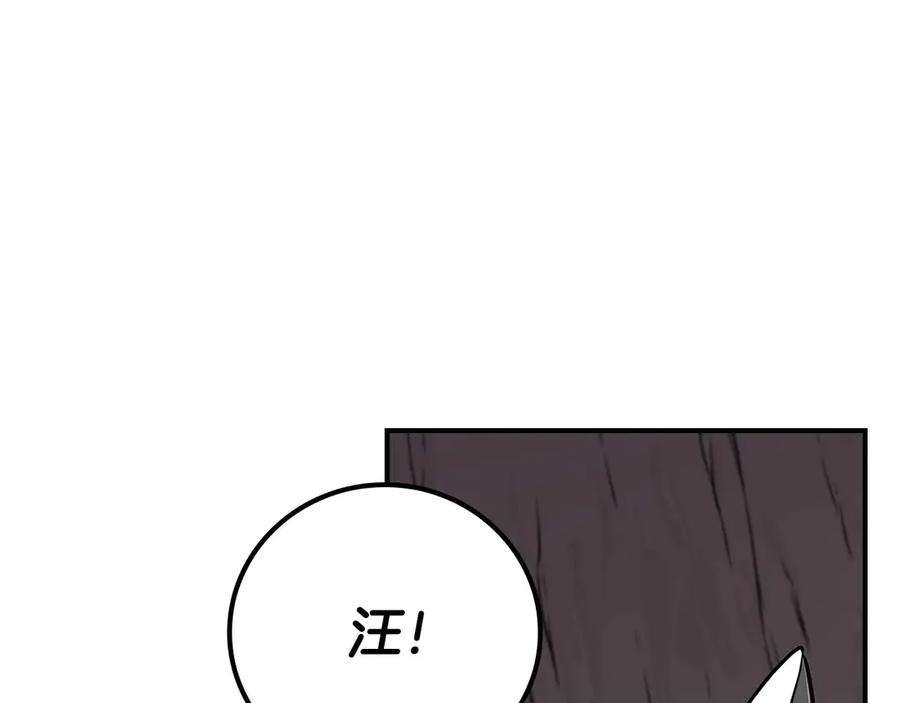 第222页