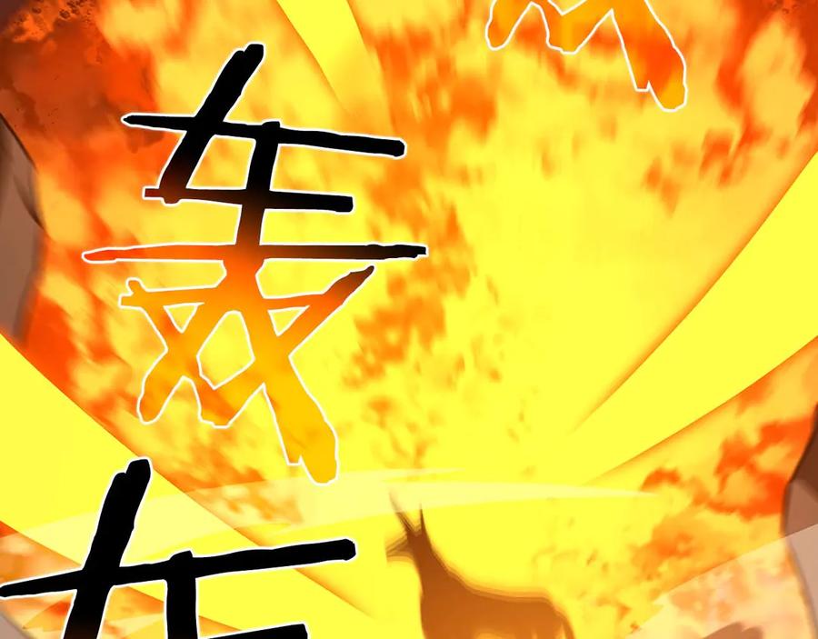 第223页