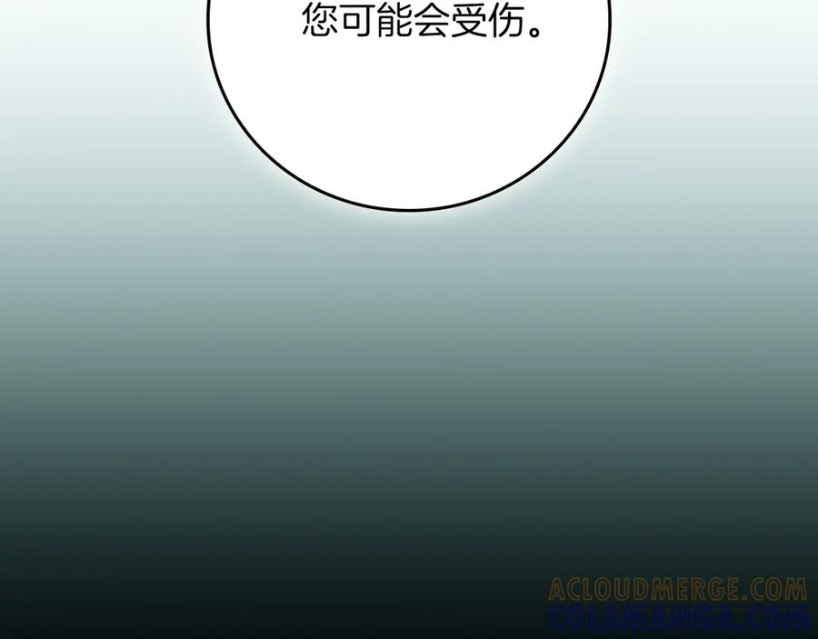 第253页