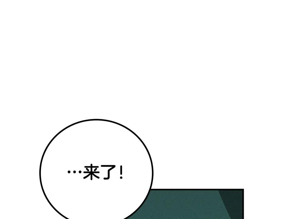第246页