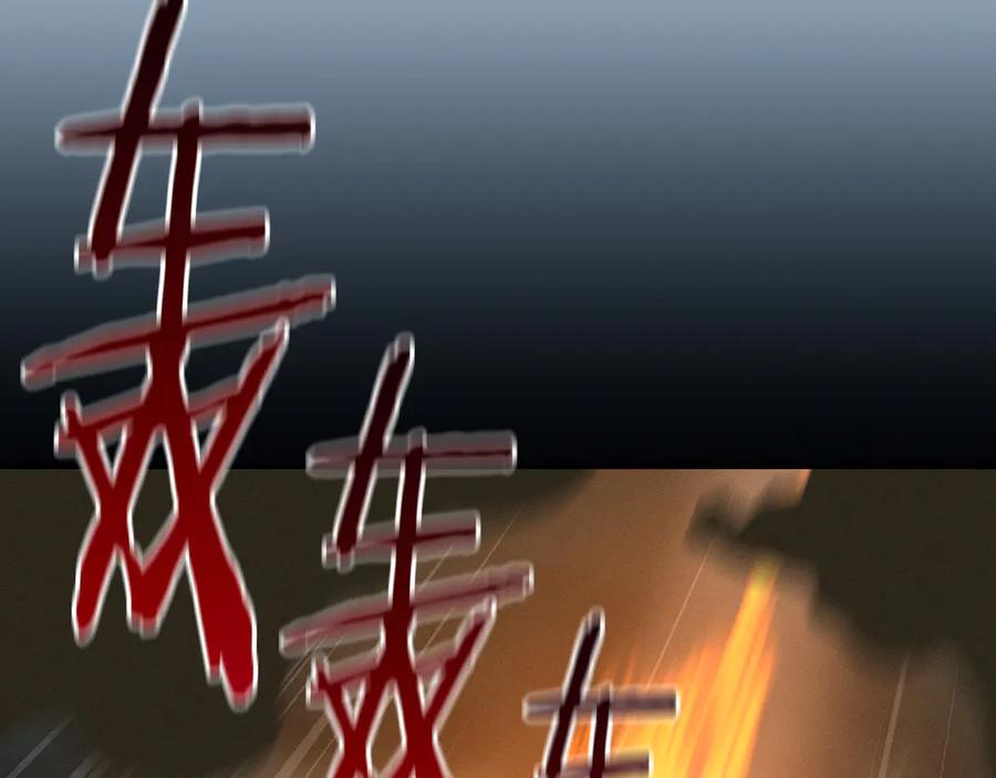 第231页