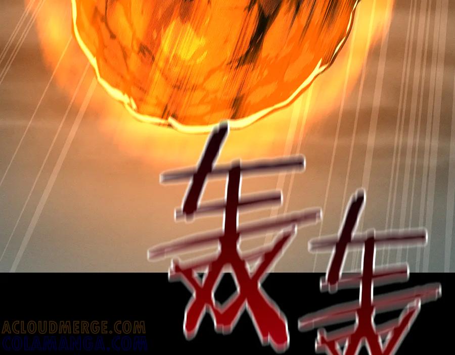 第233页
