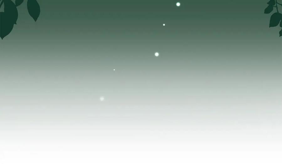 第191页
