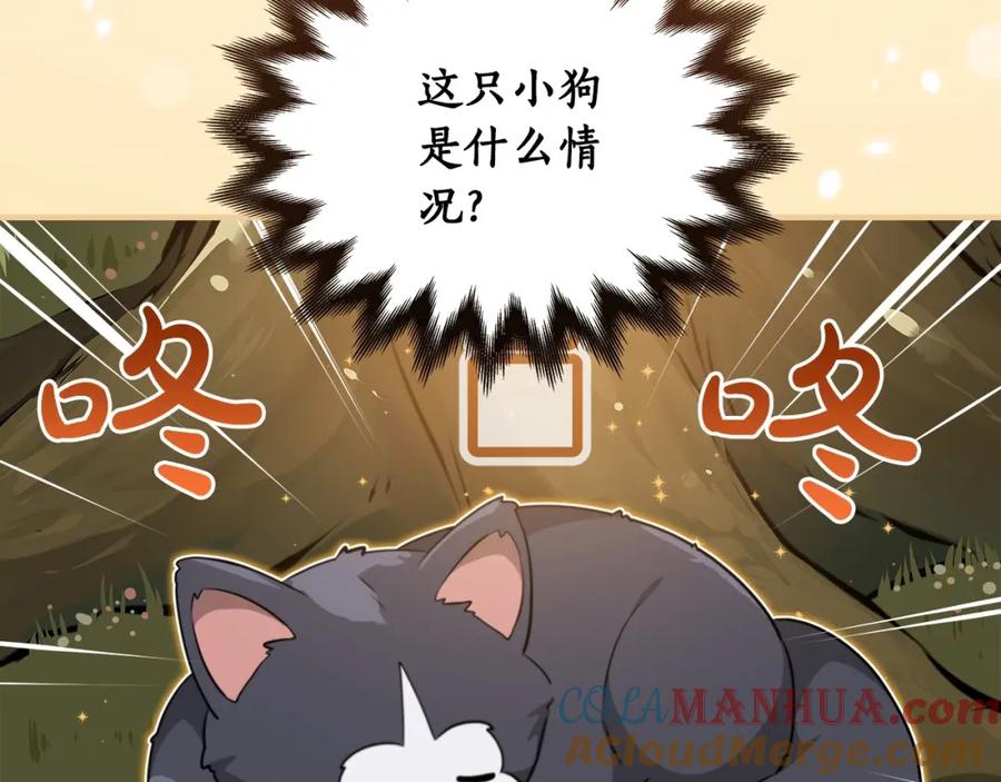 第181页