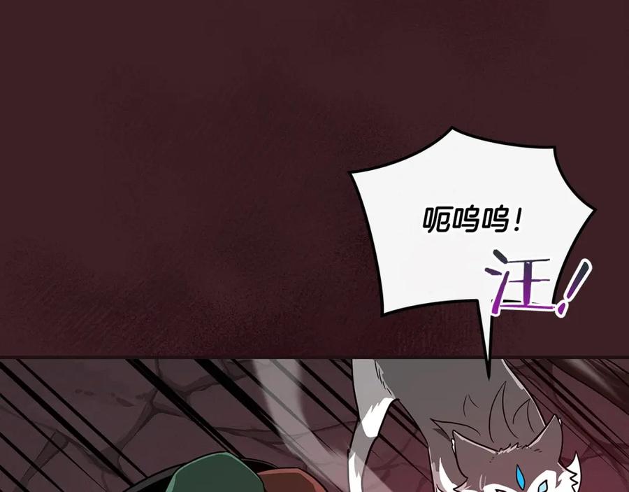 第211页