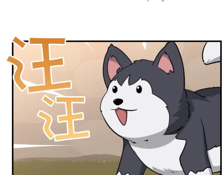 第211页