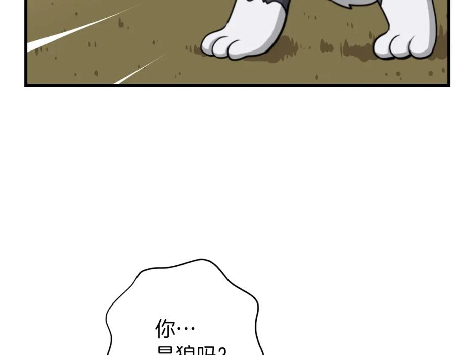 第212页