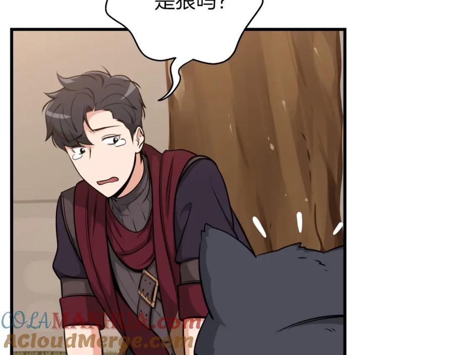 第213页
