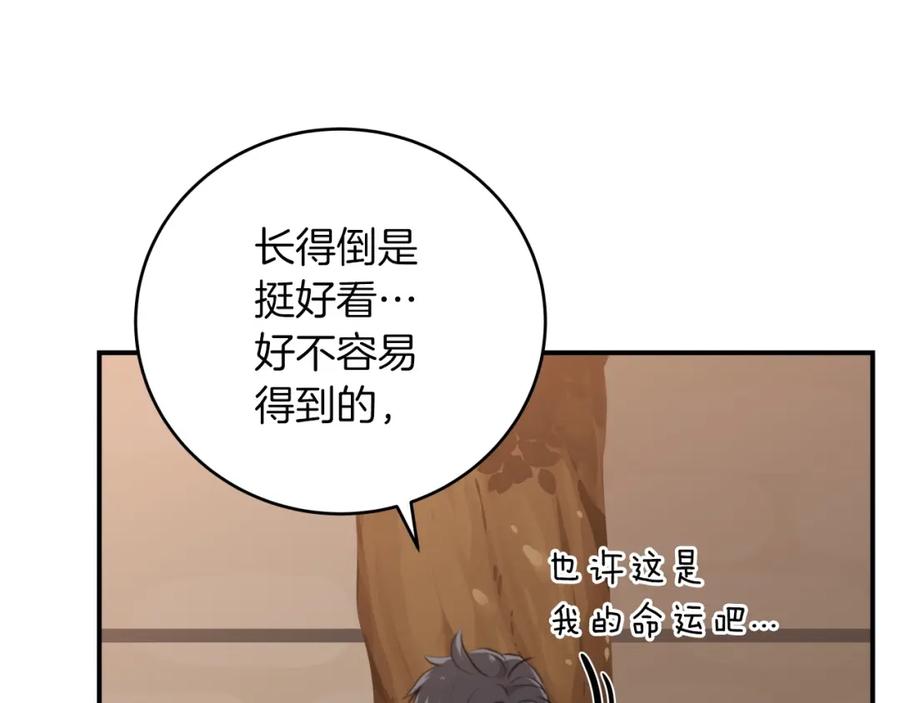 第215页