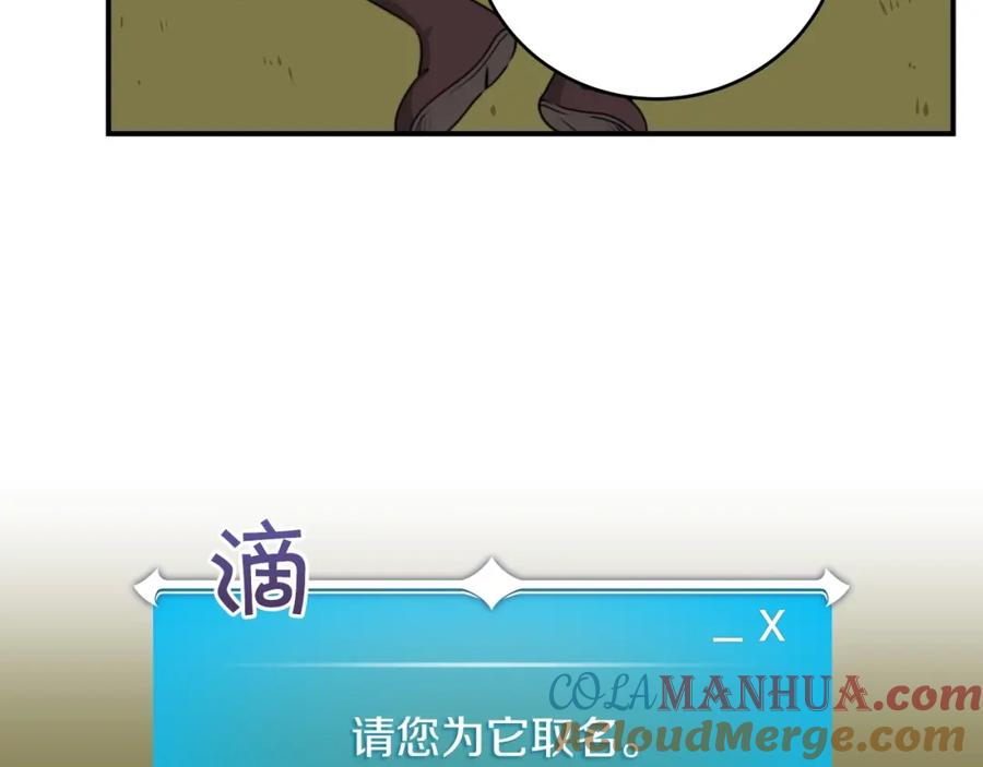第217页