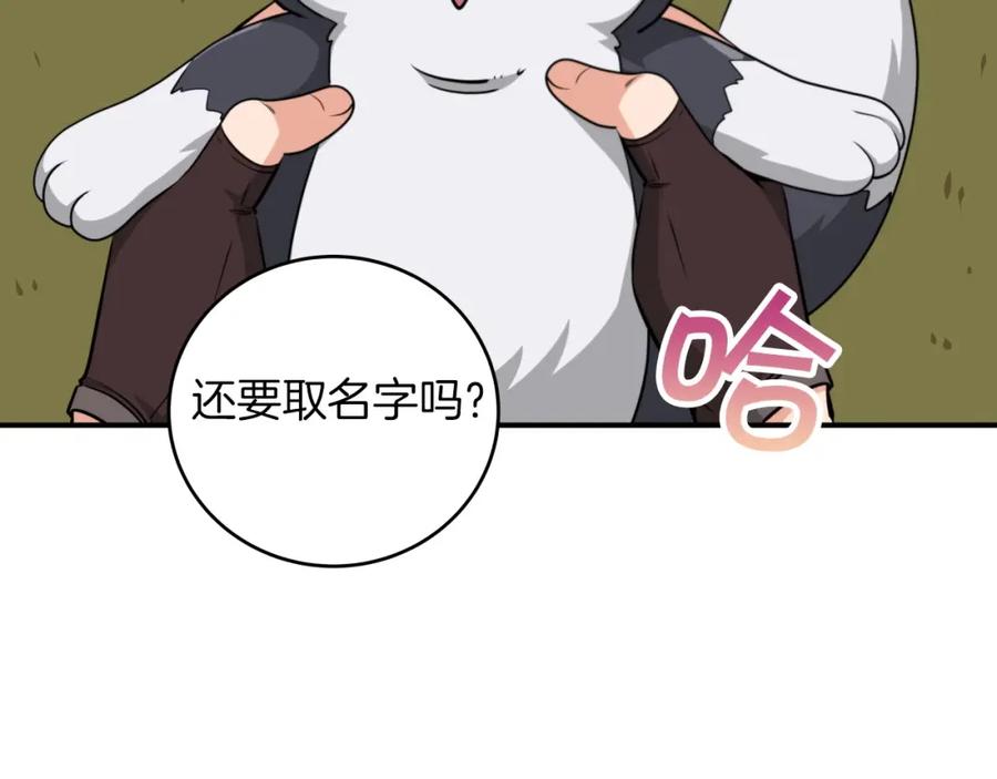 第219页